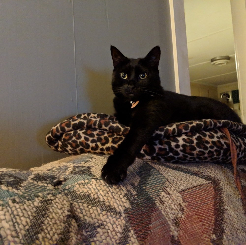 Meet the posher - Picture 5 of 7